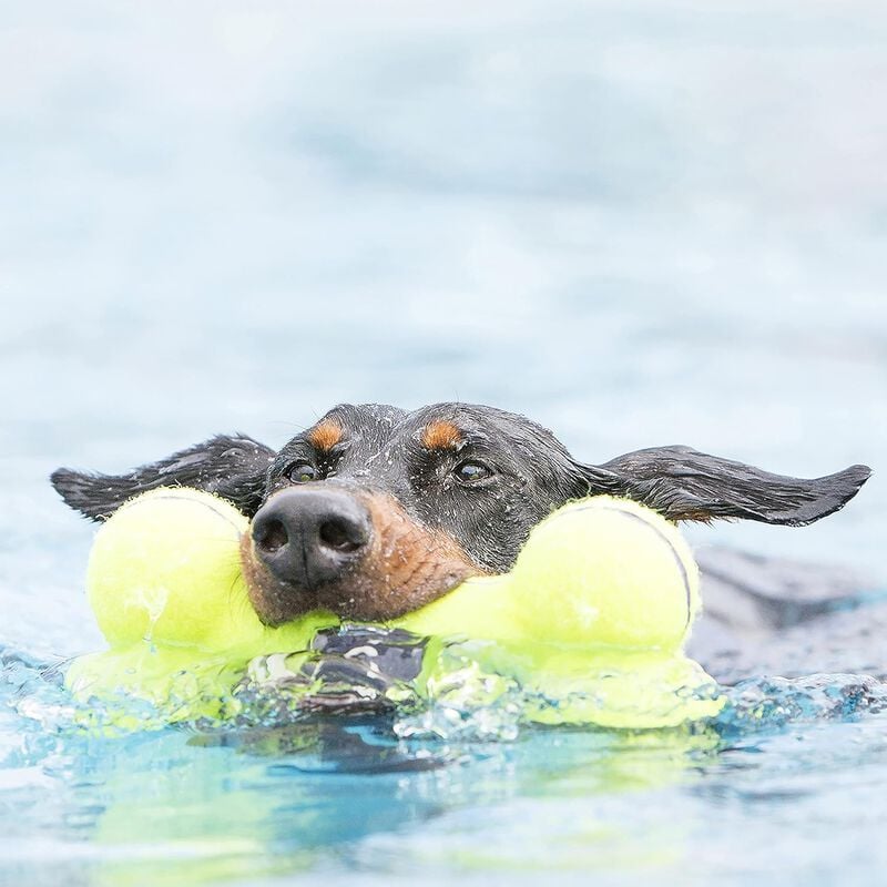 Kong AirDog Osso Sonoro per cani Tg L Giallo