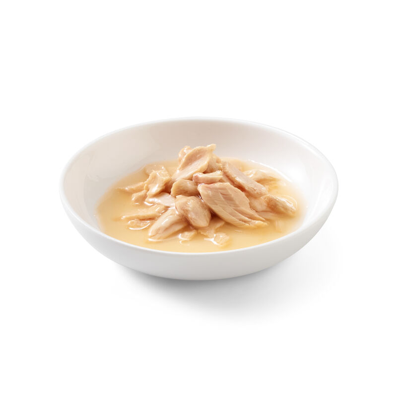 Schesir Cat Salmone al Naturale in brodo 85 gr