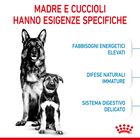 Royal Canin Maxi Starter Mother&Babydog 4 Kg