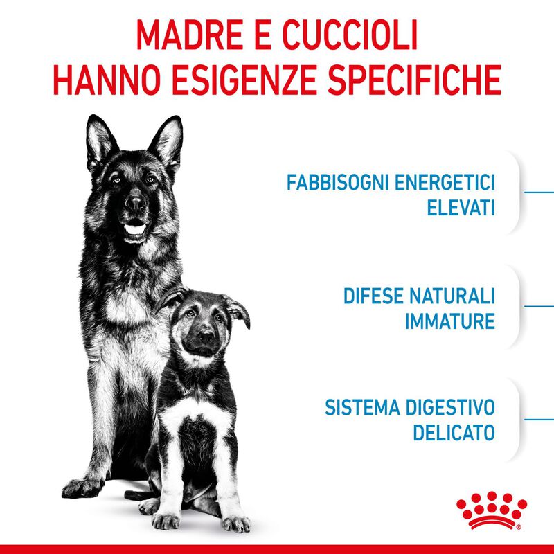 Royal Canin Maxi Starter Mother&Babydog 4 Kg