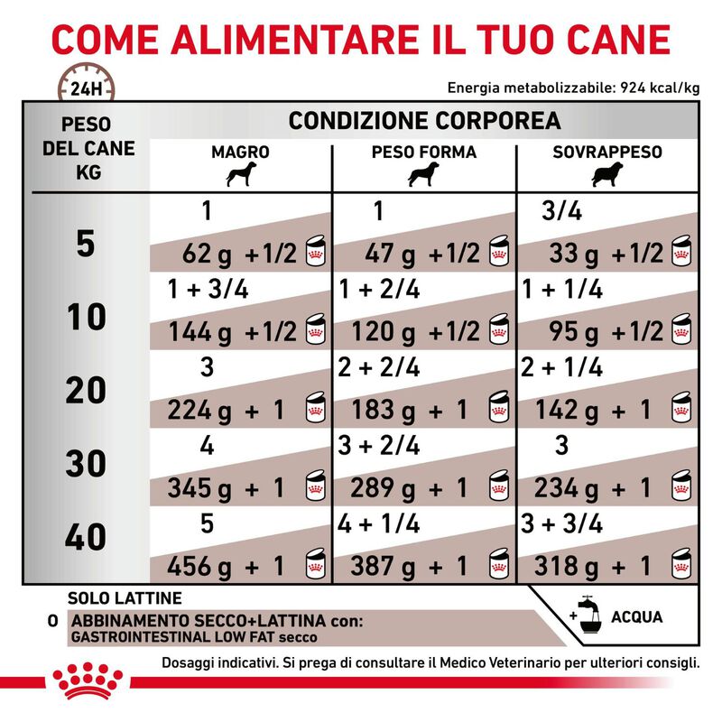 Royal Canin Veterinary Diet Dog Adult Gatrointestinal Low Fat 420 gr