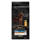 Purina Pro Plan Dog Adult Large Athletic Everdyday Nutrition Pollo 14 kg