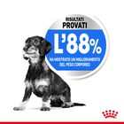 Royal Canin Dog Adult e Senior Mini light weight care 3 kg
