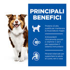 Hill's Science Plan Dog Adult Mature 7+ Manzo 370gr