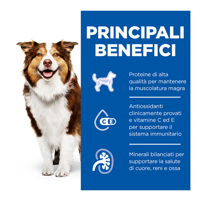 Hill's Science Plan Dog Adult Mature 7+ Manzo 370gr