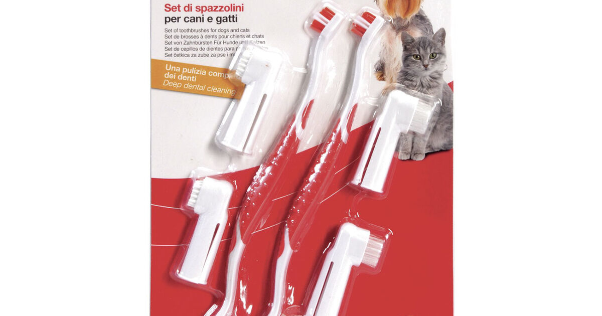 Strumenti Per Estrazione Dentale Veterinaria, Set Per Cani E Gatti, INSTUMAX