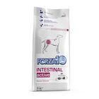 Forza10 Active Dog Adult Intestinal 10 kg