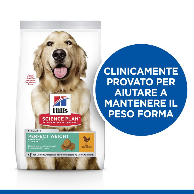 Hill's Science Plan Dog Perfect Weight Large Breed Adult con Pollo 12 kg