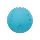 Trixie Palla Gioco con impronta per Cani 9 cm