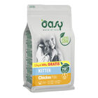 Oasy Cat Kitten Pollo 1,5 kg+250gr