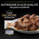 Purina Pro Plan Indoor Cat Adult con Salmone in Salsa 85 gr