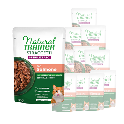 Natural Trainer Cat Steril straccetti con Salmone 85gr