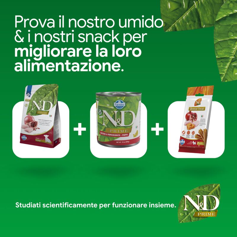N&D Farmina Prime Puppy Mini Pollo & Melograno 2,5 kg