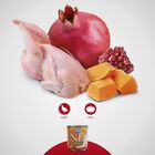 Farmina N&D Pumpkin Dog Adult Mini Quaglia & Zucca 140 gr