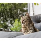 Trixie Reste di Sicurezza per gatti 3 x 2mt