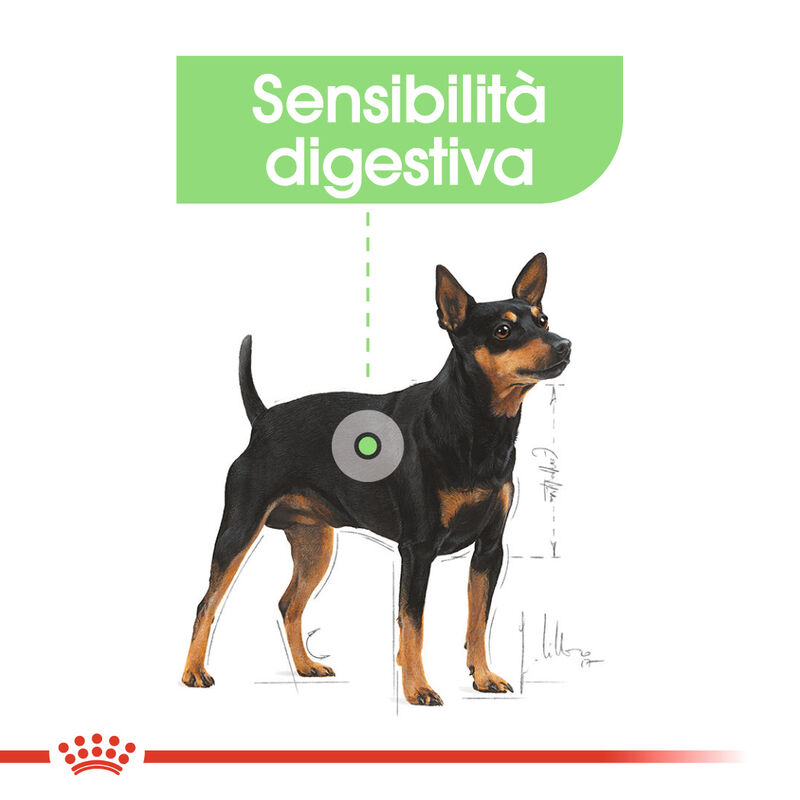 Royal Canin Dog Mini Adult e Senior Digestive Care 3 kg