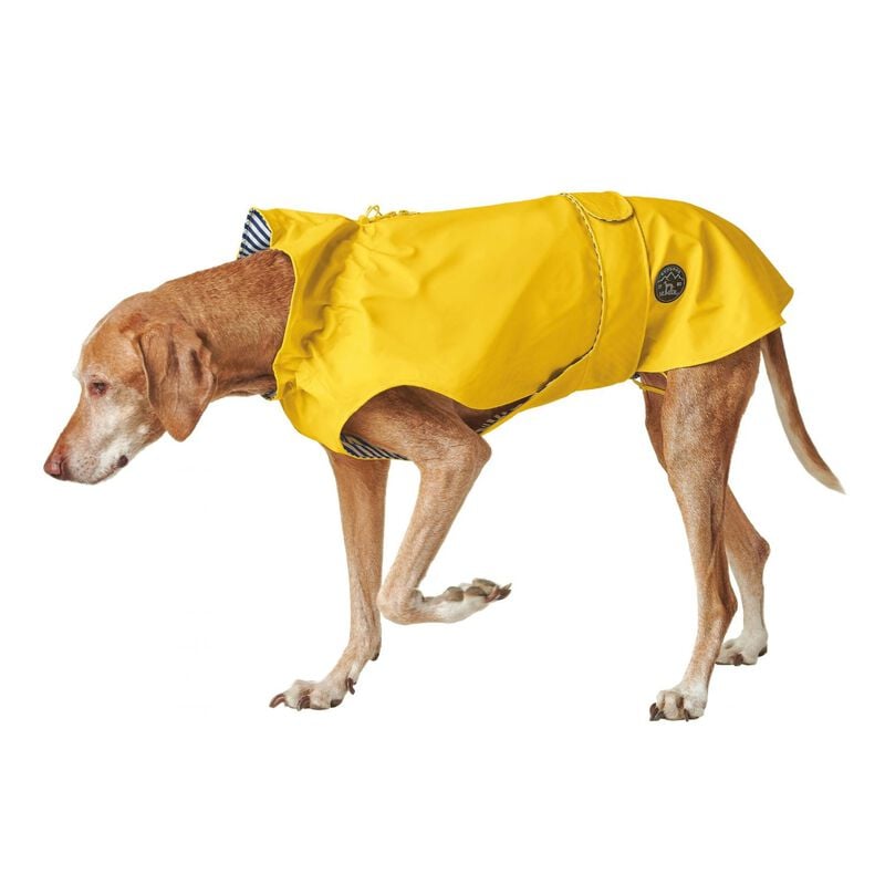 Hunter Milford Impermeabile per cani Giallo Tg. 35