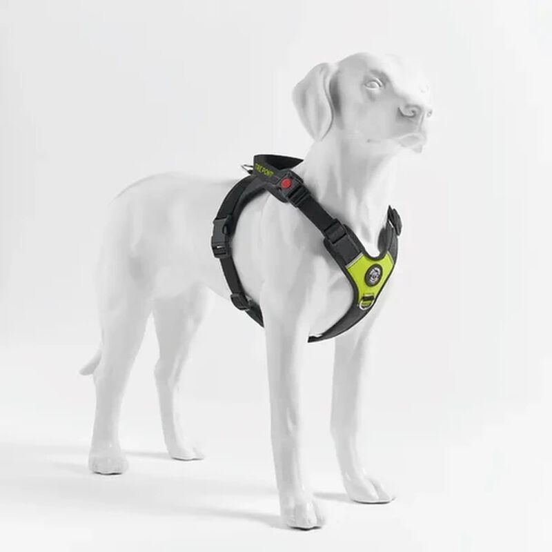 Tre Ponti Harmonia Pettorina per cani M col. Lime
