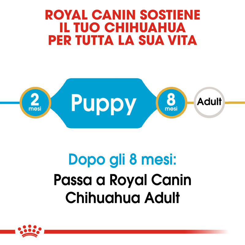Royal Canin Dog Puppy Chihuahua 500 gr