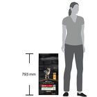 Purina Pro Plan Dog Puppy Medium Healthy Start Pollo 12 kg