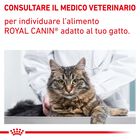 Royal Canine Veterinary Diet Cat Neutered Satiety Balance 3 kg