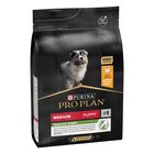 Purina Pro Plan Dog Puppy Medium Healthy Start Pollo 3 kg