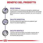 Royal Canin Expert Neutered Adult Small 1,5 kg - Scad. Dicembre 25