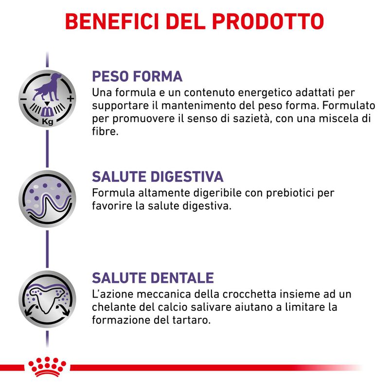 Royal Canin Expert Neutered Adult Small 1,5 kg - Scad. Dicembre 25