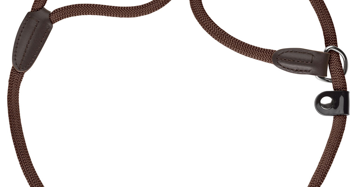 Flexi Guinzaglio Retrattile Classico Per Cani (Tape), Ergonomico