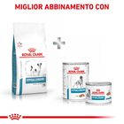 Royal Canin Veterinary Diet Mini Dog Hypoallergenic 1 kg