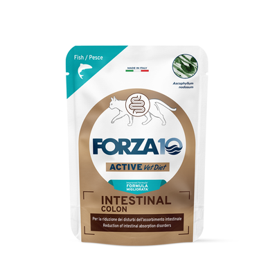 Forza10 Active Vet Diet Cat Adult Intestinal Colon Pesce 80gr