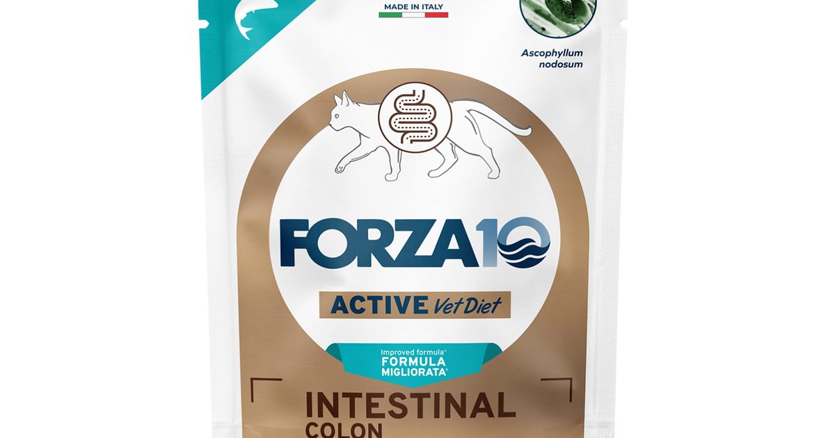Forza10 Active Vet Diet Cat Adult Intestinal Colon Pesce 80gr|L'Isola ...