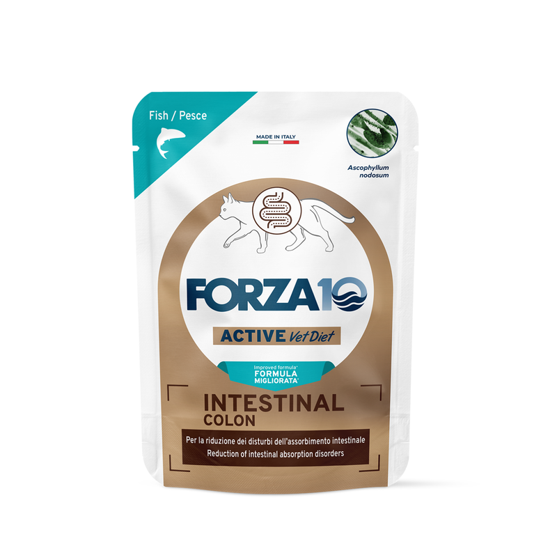 Forza10 Active Vet Diet Cat Adult Intestinal Colon Pesce 80gr