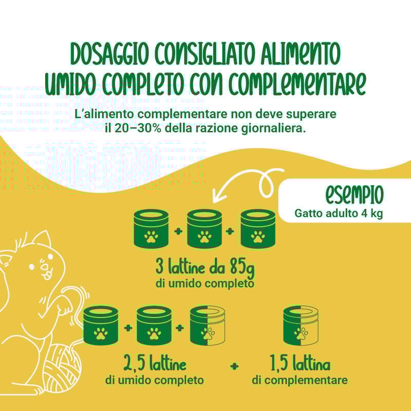 Naturalpet Cat Adult Zuppa con Tonno e Ananas 70 g