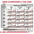 Royal Canin Veterinary Diet Dog Adult Gastrointestinal Low Fat 200 gr