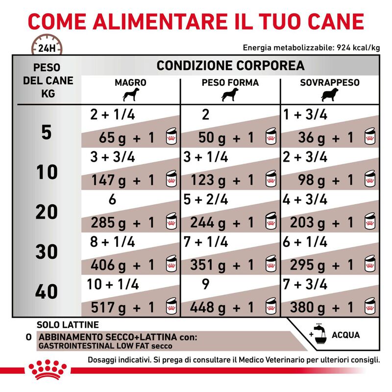 Royal Canin Veterinary Diet Dog Adult Gastrointestinal Low Fat 200 gr