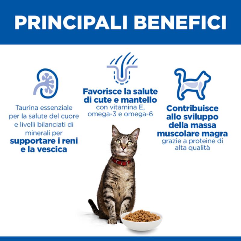 Hill's Science Plan Cat Adult al Pollo 7 kg