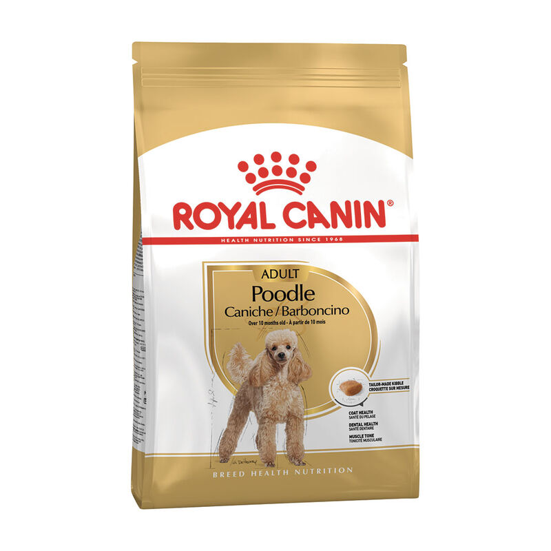 Royal Canin Dog Adult e Senior Barboncino 1,5 kg