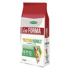 Naturalpet In Forma Action Adult Maxi agnello e riso 12,5 kg image number 0