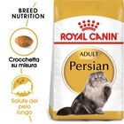 Royal Canin Cat Adult Persian 2 kg