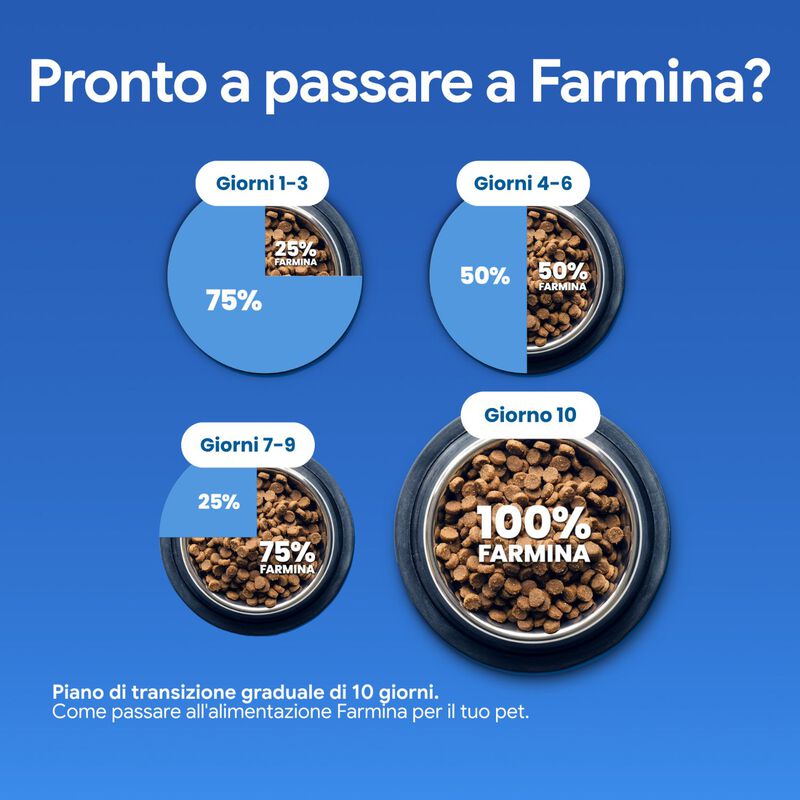 N&D Farmina Ocean Dog Adult Medium & Maxi Merluzzo, Zucca & Arancia 2,5 kg