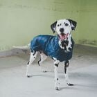 Hunter Impermeabile per cani Milford colore Blu tg. 45