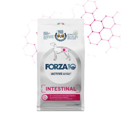 Forza10 Active vet diet Dog Adult Intestinal 4 kg