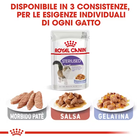 Royal Canin Cat Adult Sterilised Jelly 85 gr