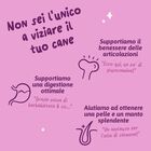 Edgard & Cooper Cibo umido per cani adulti Cinghiale a Anatra 150 gr
