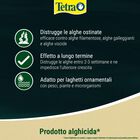 Tetra Pond AlgoFin 250 ml