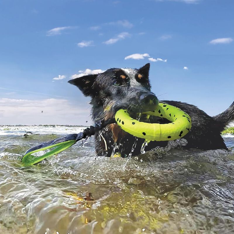 Kong Reflex Tug per cani Giallo 1 pz