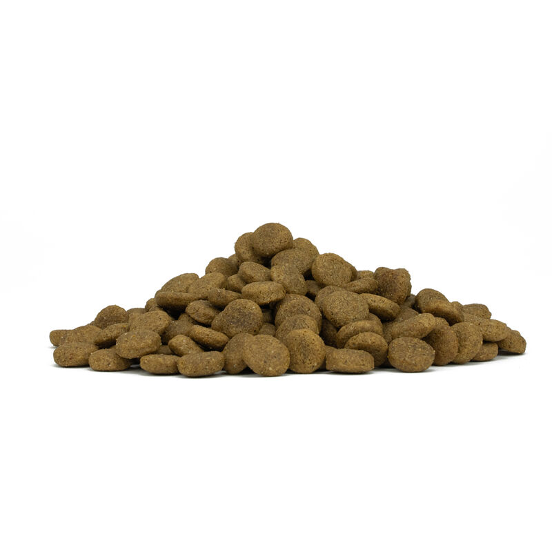 Forza 10 Dog All breeds Light Tonno con riso 12kg