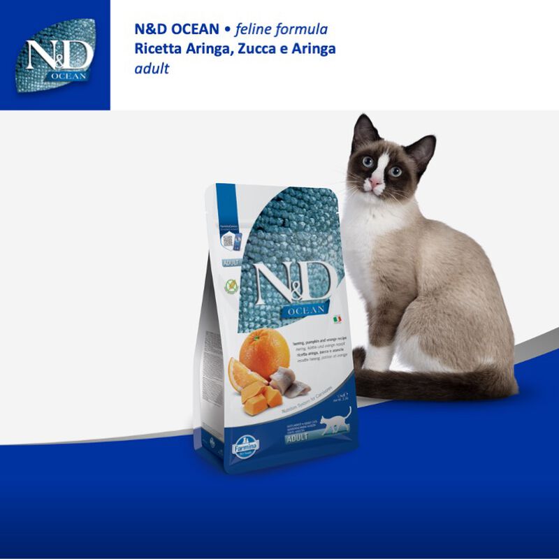 Farmina N&D Ocean Cat Adult Aringa, Zucca e Arancia 1,5 kg
