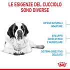Royal Canin Dog Giant Junior 15 kg